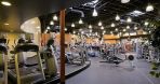 Above and Beyond Fitness Repair|Gym Equipment Repair | Treadmill Repair